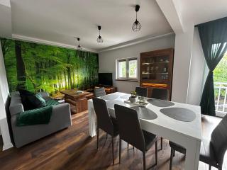 Loft Apartments Bielawa "Las" Polskie Como Góry Sowie - Bielawa - 0