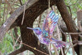 Aalkie's Dream - 4