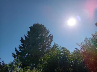 Apartment nähe Heidelberg für 4 Personen - 4