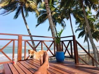 Rent your own private beach bungalow - Ampeni - 9