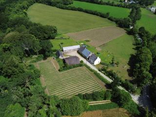 Tonneau bulle insolite, vue sur vignoble - 3