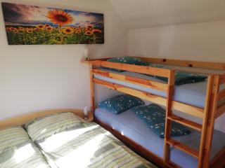Apartment Klas - Moravske Toplice - 1