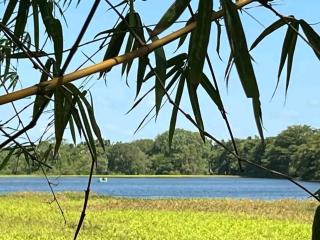 White Queen - Anuradhapura - 5