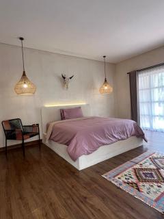 El Campo Mushroom - 6