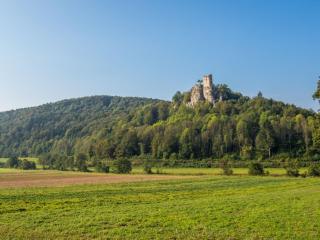 3 Zimmer App Fränkische Schweiz I Miselgau-Obernsees - 5