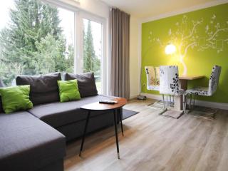 Apartment, Braunlage - Braunlage - 1