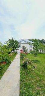 Big yard white villa AYT - 0
