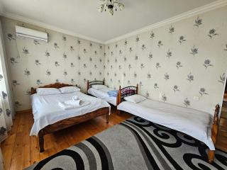 Big yard white villa AYT - Gabala - 5