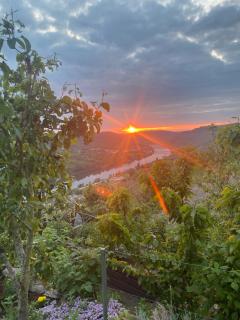 Apartment an der Mosel 2 - Graach - 7
