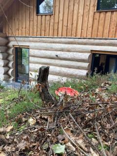 Blockhaus in herrlicher Umgebung - 3