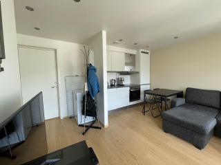 Arctic Aurora Apartment In The Heart Of Tromsø - Tromsø - 4
