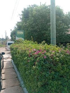 Rising Sun Hotel - 1