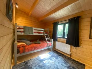 Rushbrook Log Cabin with sauna - Edenderry - 8