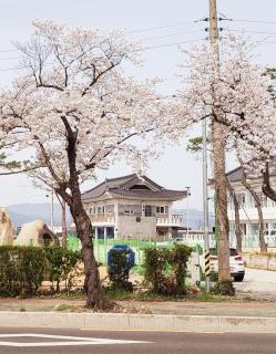 분황연가 - Gyeongju - 7