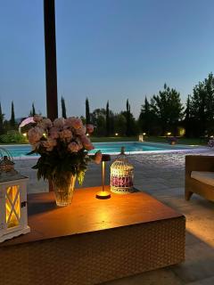 Renaissance Villa With Pool Near Lucca - Lucques - 7