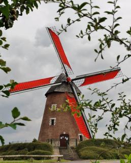 Chambre calme centre-ville tout confort - 6