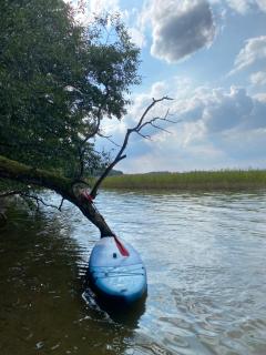 Mazury Glamping Kruklanki Polana Życzeń - Kruklanki - 8