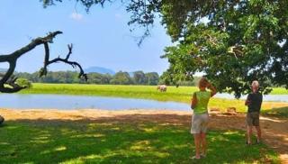 Crocodile park Bungalow - Kataragama - 0