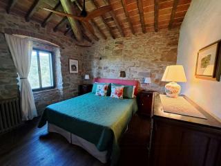 Medieval Tower With Tuscan Hills View - 1