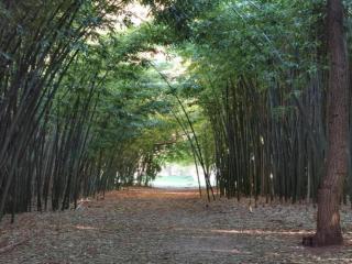 Pretty Holiday Home in Courry with Swimming Pool - 6