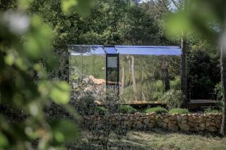 Designer Cabin With Shared Pool In Bras - 1