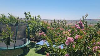 נוף הכפר - 6 חדרי אירוח לזוגות ומשפחות עם ג'קוזי משותף - 0