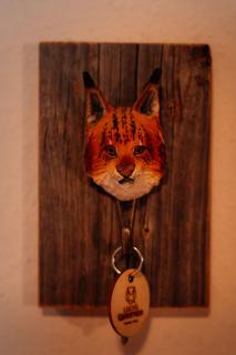 Luchs Quartier Hahnenklee - Goslar - 5