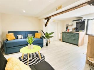 Studio cosy refait à neuf - proche aéroport et tram - 0