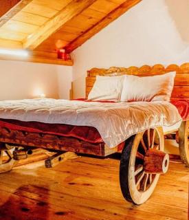 Old Wine House - Montenegro - 5