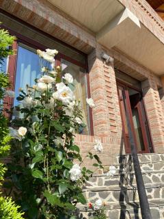 Casa Dana - Vîrfu Dealului - 1