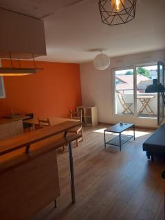 Appartement lumineux hypercentre balcon parkin - Nantes - 0