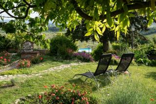 Nido di Rondine - Montespertoli - 5