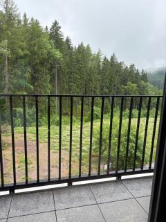 Apartmán Iris - Černý Důl - 0