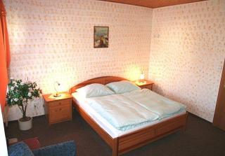 Pension Mikuláš v Krušných horách - Mikulov v Krušných Horách - 3