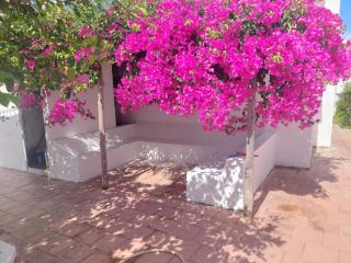 Maison de vacances à Haouaria Tunisie - Sidi Amor - 8