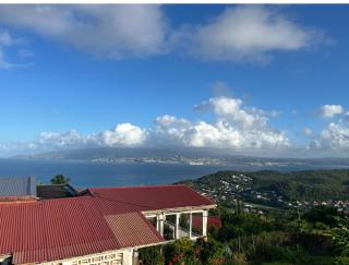 Le Manguier Panoramique - Les Trois-Îlets - 4