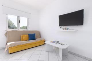 Olivo 2 - A2 fix 1 - 8