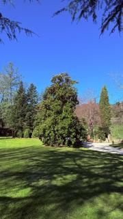 Villa San Giuliano - Lucques - 1