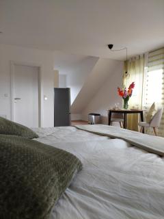Apartment Senfnest - Ober-Ramstadt - 3