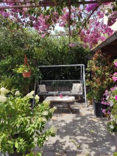 Dalmati house - Brodarica - 8