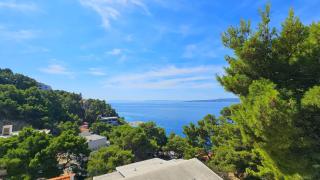 Apartmani Brela 21 - Brela - 4