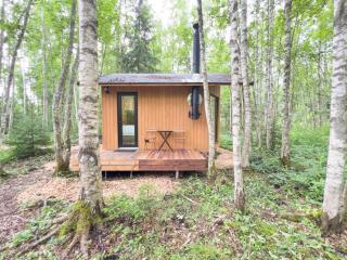 Paunküla Nature Villa - 2