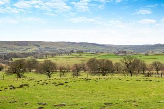 Sheep Haven - 5