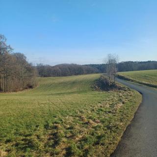 Waldzauber Budget-Appartment - Horhausen - 6