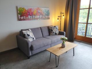 "Weitblick" im Ferienland Sonnenwald Weitblick zum Arber - 4