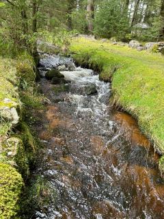 Lydgate Cottage, Dartmoor - Postbridge - 9