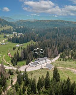 Apuseni Park Padis - Budureasa - 9