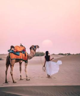 The Desert Gateway Resort - Jaisalmer - 8