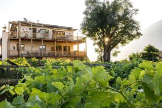 Bio Weingut Sanin im Südtirols Süden - 9