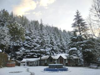 Himgiri Nature Retreat - Rājgarh - 4